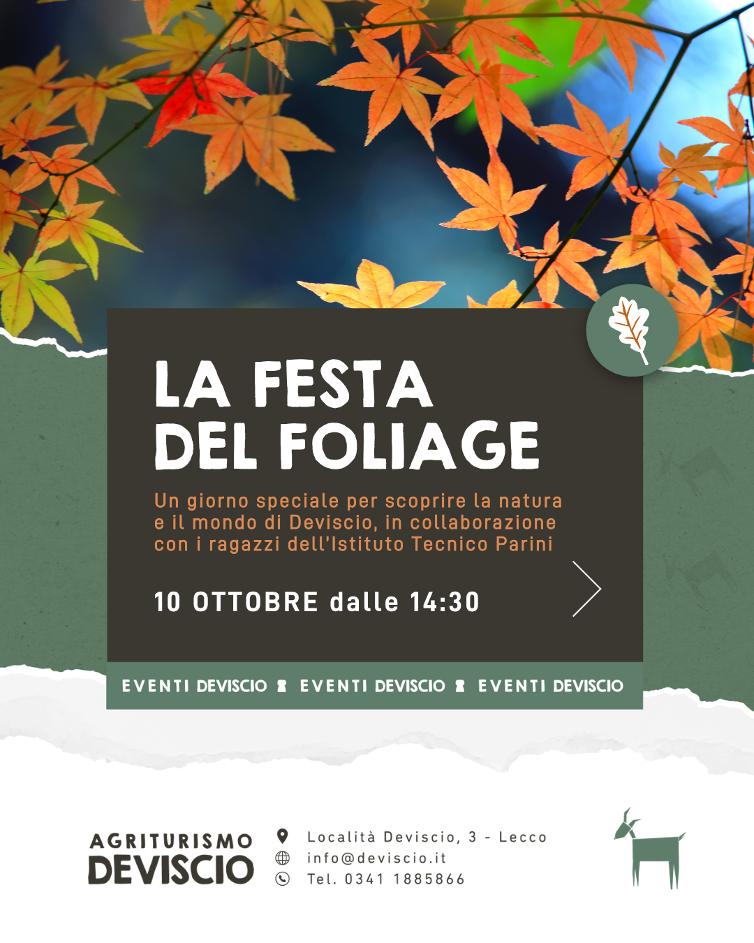 La Festa del Foliage